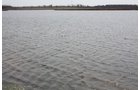 Property photo 3 - 194.67 Acres Offered in 2 Tracts